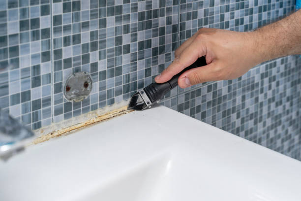 Best Mold Testing and Inspection Services in Fisher, IL